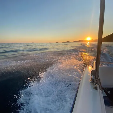 Redamare In The Center Of The